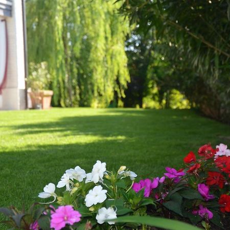 Asso Bed & Breakfast Manerba del Garda Exterior photo